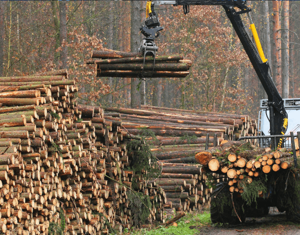 O contributo das plataformas de gestão documental para a sustentabilidade